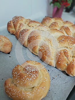 Shabat  hala bread