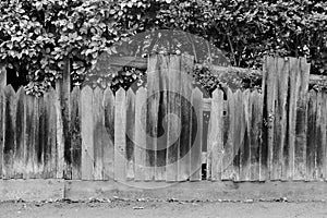 Shabby broken old wooden fence with holes