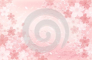 Shabby chic Cherry blossom background