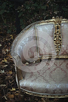 A shabby-chic ornate antique chair sits in an autumn garden