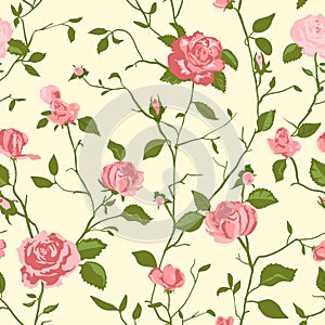 Shabby chic rose background