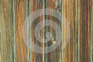 Shabby colored wood texture