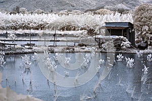 Shabby Floating house