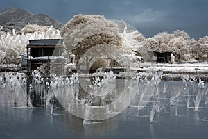 Shabby Floating house