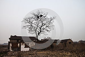 The shabby houses and trees in the countryside