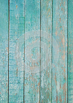 Shabby mint Wood Background