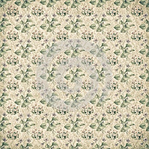 Shabby vintage antique floral wallpaper