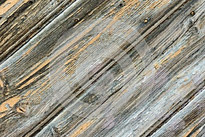 Shabby weathered plank wood background. Geometrical graphic diagonal pattern fragment of old gates door. Gradient gray color hues