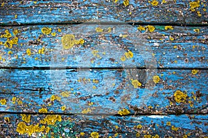 Shabby wood background. Old blue wood planks. Concept image