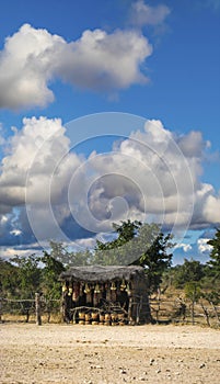 shack with african art