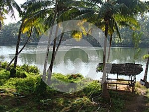 A shack by a clam river