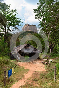 Shack in front of high rock under green forest