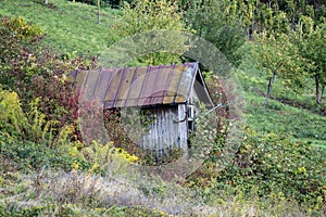 Shack with rusty roof in wildernes