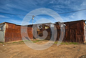 Shacks in township photo