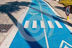 Shade from palm trees on the bike path. bicycle path. bike path with pedestrian crossing sign in the shade of palm trees