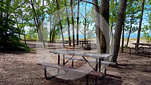 Shade From Sunny Day at Lunch and Picnic Area on the Beach.  Beautiful Sunshine Beach in Background With Lush Tree Canopy