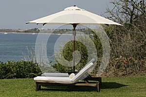 Shade Umbrella