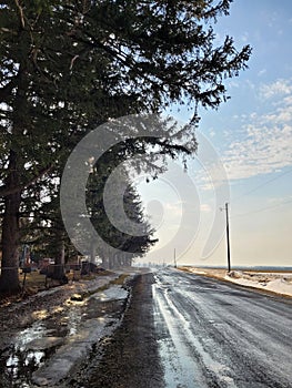 Shaded County Road