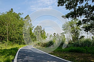 Shaded curving foot path in sunny spring morning