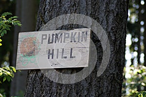 Shaded pumpkin hill sign on tree