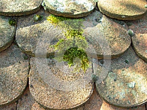 Shaded roof of ancient potsherd photo