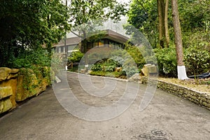 Shaded slopy asphalt road before modern building in spring