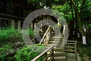 Shaded wooden stairway and planked footbridge between Chinese tr