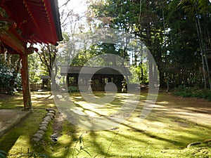 Shades on the ground @Kashima jingu shrine, Ibaraki, Japan