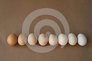 Shades of natural eggs in a row on a brown background.The concept of minimalism.On pastel background.Top view