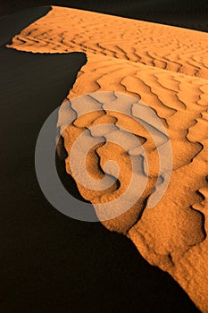 Shades of sand dune