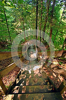 Shades State park staircase landscape