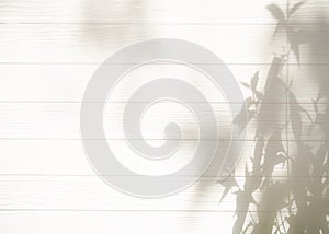 Shadow abstract leaf textured minimalism backdrop white wooden background for mock up