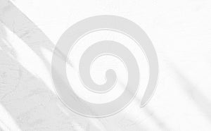 Shadow Background Abstract Overlay Light on White Wall Backdrop Minimal Mockup,Texture floor Template Summer Tropic,blur Cement