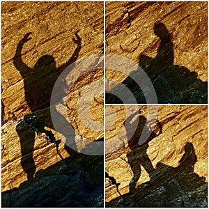 Shadow Beauty and the Beast