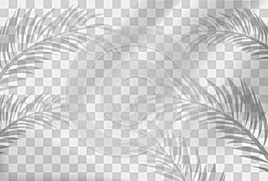 Shadow blinds and leaf