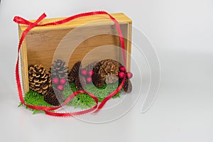 A shadow box with pine cones on greenery
