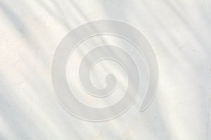 Shadow of branches and leaves on crack white wall.