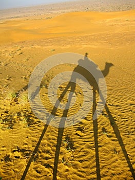 Shadow of a camel with tourist on a sand dunes, Thar desert, Ind