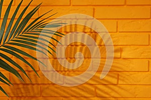 Shadow cast by tropical palm leaf on orange brick wall, space for text