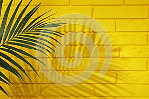 Shadow cast by tropical palm leaf on yellow brick wall, space for text