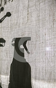 Shadow cleaning spray