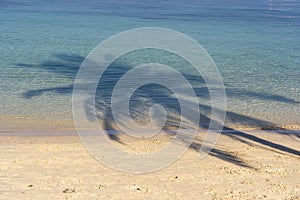 Shadow coconut palm tree over sand beach near blue sea water in Thailand. Summer, travel, vacation and holiday concept