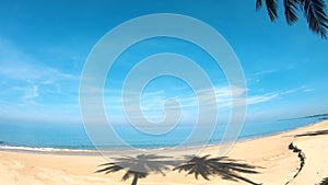 Shadow of coconut tree in blue sky white clouds on the beach background, in summer sunny season. wide-angle bright sunshine at the