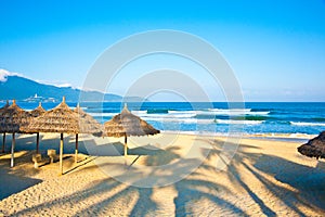 The shadow of coconut trees