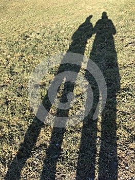 Shadow of a couple cast on frozen yellowish grass