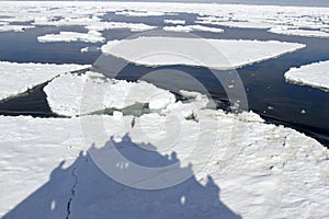 Shadow of cruise ship, Antarctica