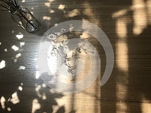 shadow of dried flowers in the clear glass vase and tree leaves