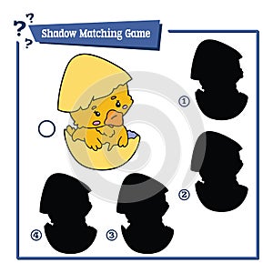 Shadow duck bird game