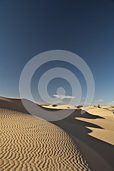 Shadow, dune, sand, desert, Sahara