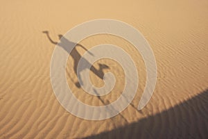 Shadow in dunes with jumping man